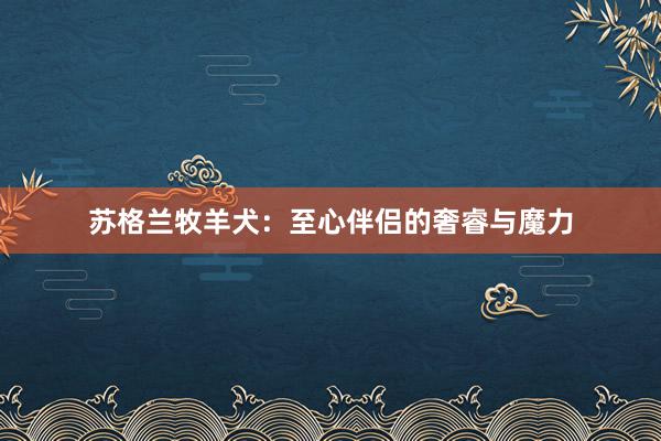 苏格兰牧羊犬:至心伴侣的奢睿与魔力