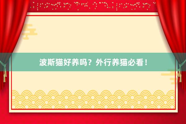 波斯猫好养吗？外行养猫必看！