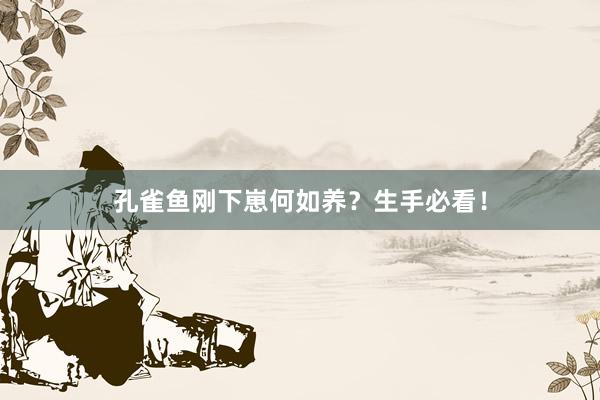 孔雀鱼刚下崽何如养？生手必看！