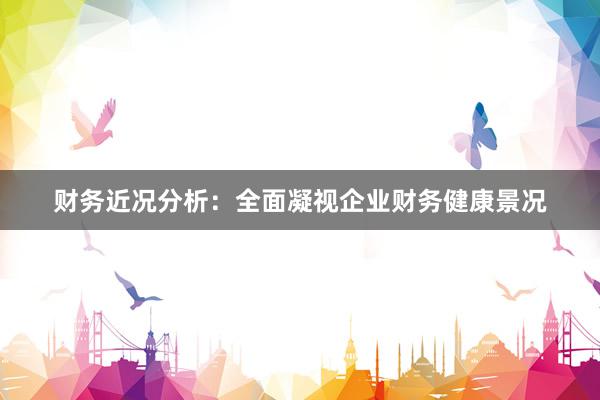 财务近况分析：全面凝视企业财务健康景况