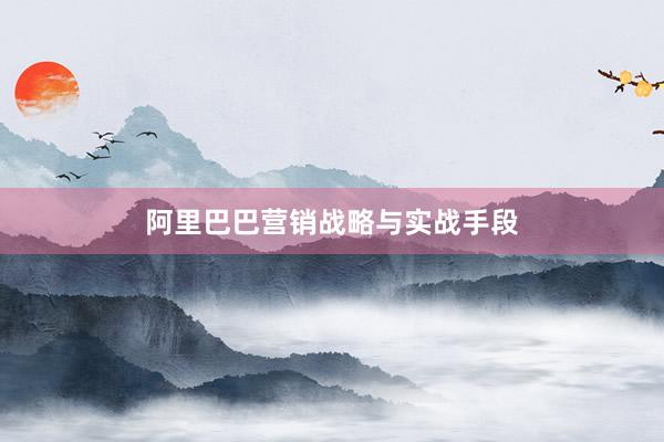 阿里巴巴营销战略与实战手段